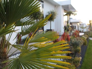 Casa de vacaciones Biddinghuizen Grabación al aire libre 4