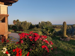 Blick über den Garten zum Meer