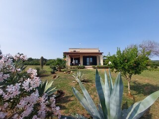 Villa San Pietro in Bevagna Enregistrement extérieur 15