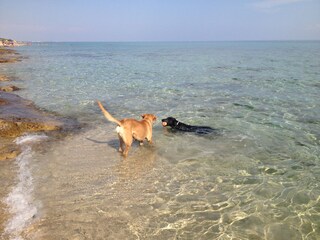 Villa San Pietro in Bevagna Ambiente 33