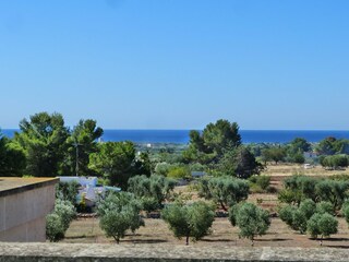 Meeresblick von der Terrasse