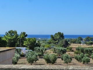 Villa San Pietro in Bevagna Registrazione all'aperto 2