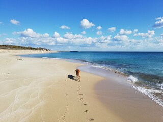 Villa San Pietro in Bevagna Ambiente 40