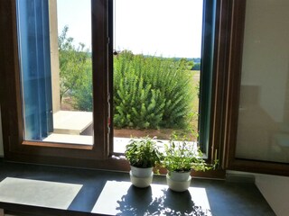 Villa San Pietro in Bevagna Caratteristiche 29