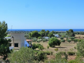 Blick von der Macchia zu Torre Borraco