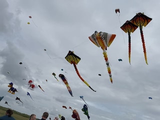 Vakantieappartement Hooksiel Omgeving 30