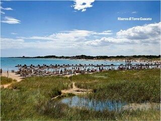 Villa San Vito dei Normanni Ambiente 34