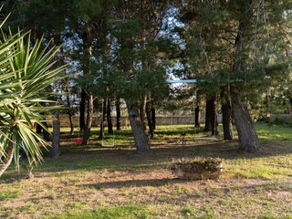 Villa San Vito dei Normanni Registrazione all'aperto 15