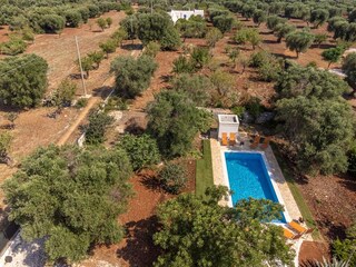 Casa per le vacanze San Vito dei Normanni Registrazione all'aperto 13