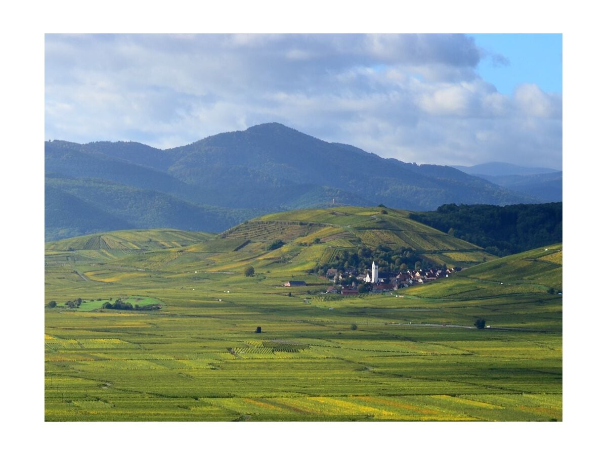 Oder die Landschaft bewundern