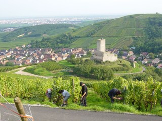 Casa per le vacanze Katzenthal Ambiente 37