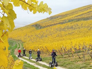 Durch die Weinberge rasen.... oder nicht