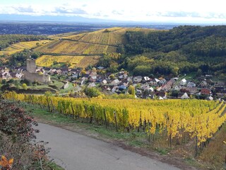 In einem ruhigen Dorf zwischen Reben und Wald