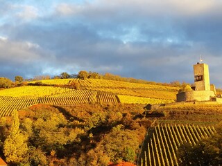 Casa per le vacanze Katzenthal Registrazione all'aperto 9