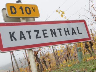 Casa per le vacanze Katzenthal Registrazione all'aperto 6