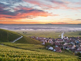 Blick zu Schwarzwald und Alpen