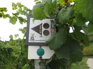 Casa per le vacanze Katzenthal Registrazione all'aperto 15