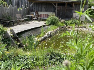 Casa per le vacanze Katzenthal Registrazione all'aperto 17