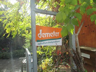 Casa per le vacanze Katzenthal Documento 42