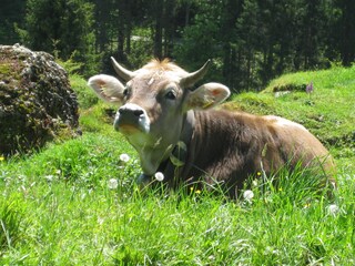Appartamento per vacanze Oberstdorf Ambiente 15
