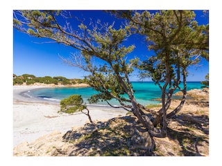 Casa per le vacanze Orosei Ambiente 23