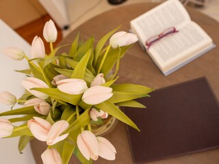 Casa per le vacanze Orosei Caratteristiche 21