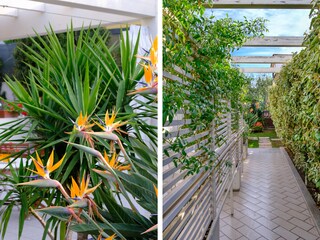 Casa per le vacanze Orosei Registrazione all'aperto 12