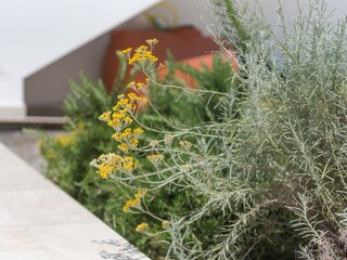 Casa per le vacanze Orosei Registrazione all'aperto 5