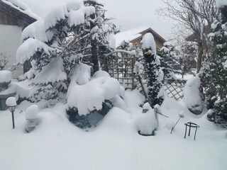 Garten im Schnee