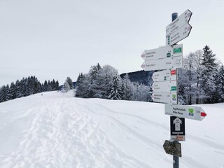 Winterwandern am Hausberg