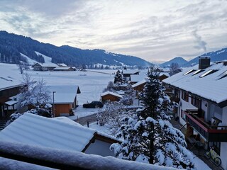 Ausblick vom Balkon 1. OG