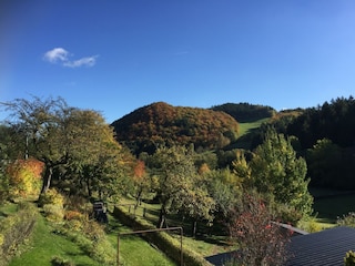 Ferienhaus Medebach Außenaufnahme 10
