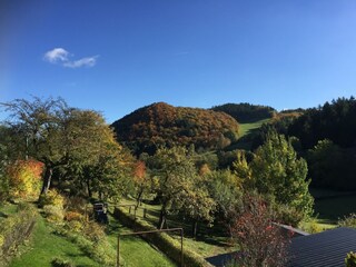 Maison de vacances Medebach Enregistrement extérieur 8