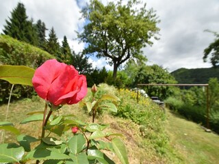 Holiday house Medebach  33