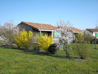 Parque de vacaciones L'Aiguillon-sur-Vie Entorno 26