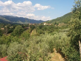 Ferienhaus Castiglion Fiorentino Außenaufnahme 6