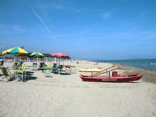 Holiday park Camaiore Environment 27