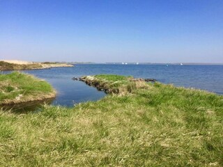 Appartement Kamperland Omgeving 28