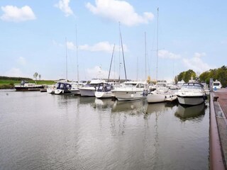 Appartement Kamperland Environnement 38