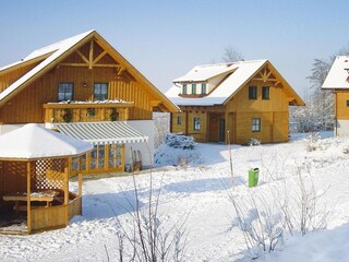 Ferienhaus Inzersdorf Außenaufnahme 2
