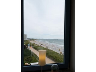 Blick aus dem Fenster in der Ferienwohnung Inselblume 03 auf Fehmarn