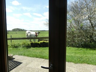 Casa per le vacanze Quern Ambiente 30