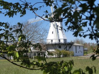 Windmühle von Westerholz