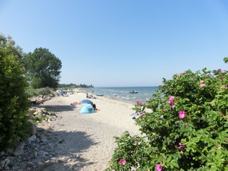 Strandabschnitt