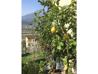 Ferienwohnung Locarno Außenaufnahme 7