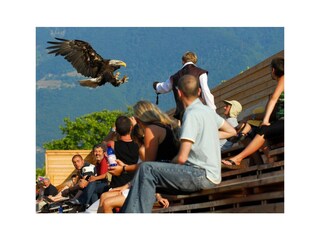 Holiday apartment Locarno Outdoor Recording 10