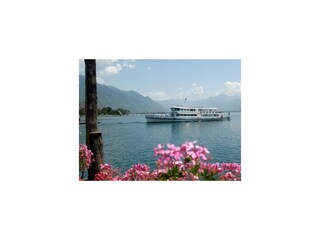 Holiday apartment Locarno Outdoor Recording 11