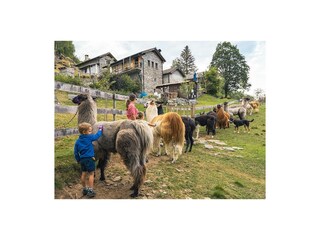 Ferienwohnung Locarno Außenaufnahme 20