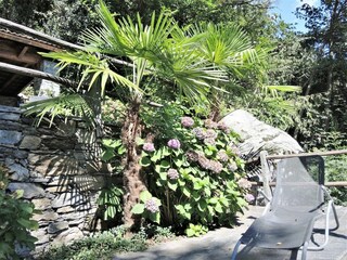 Ferienhaus Agarone Außenaufnahme 9