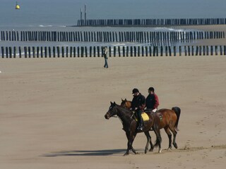Vakantiehuis Cadzand-Bad Omgeving 18